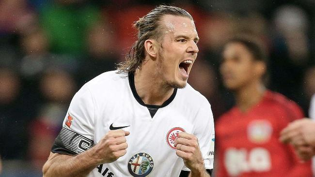 生涯的发展 生涯的发展