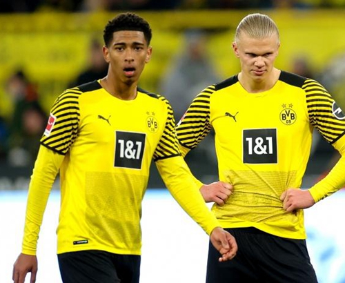 青少年运动 青少年运动